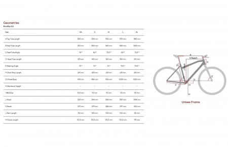 Bicicleta Road 28" RAYMON RaceRay 8.0, cadru carbon, manete ergopower, frane hidraulice, 12 viteze, rosu [7]