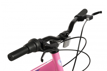 Bicicleta Trekking Rich R2430A 24", Fucsia/Albastru/Mov [6]