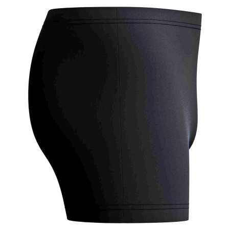 Boxeri inot barbati SPEEDO Medley EnduraFlex, Logo Aquashort, rezistenti la clor [2]