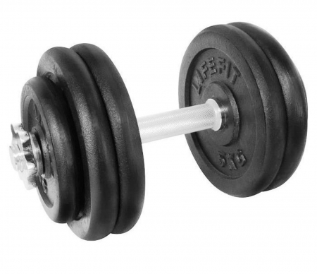 Gantera 27 kg set 6 discuri [1]