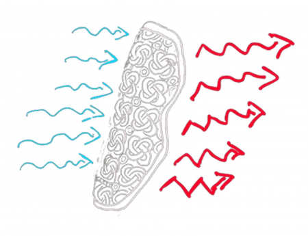 Protectii genunchi SERYT [9]