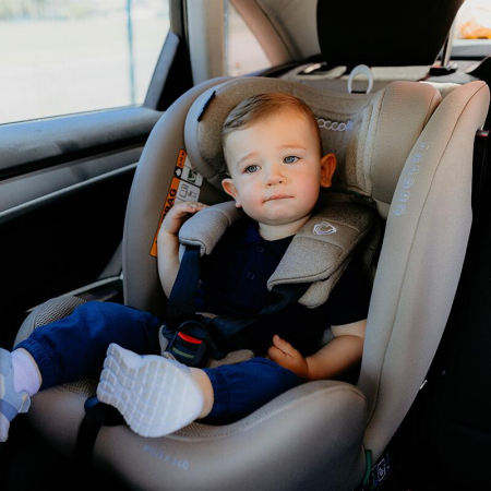 Scaun auto iSize 40-150 cm Coccolle Nova Moonlit grey+Coccolle protectie bancheta auto mica [16]