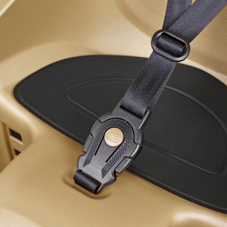 Scaun copii spate POLISPORT Bubbly Maxi Plus CFS, gri/maro [2]