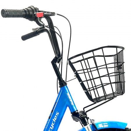 Tricicleta adulti 20" BR Cycles Pro2008, cadru otel 15", frane disc, 6 viteze, albastru [4]