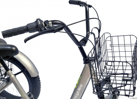 Tricicleta adulti 20" BR Cycles Pro2008-TR20, cadru otel 16", frane disc, 7 viteze [4]