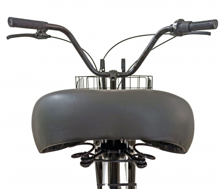 Tricicleta adulti 20" BR Cycles Pro2008-TR20, cadru otel 16", frane disc, 7 viteze [5]