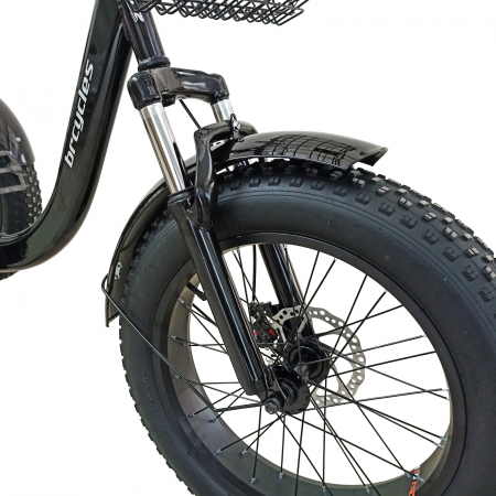 Tricicleta adulti 20" BR Cycles Pro2008-TR20, cadru otel 16", frane disc, 7 viteze [3]