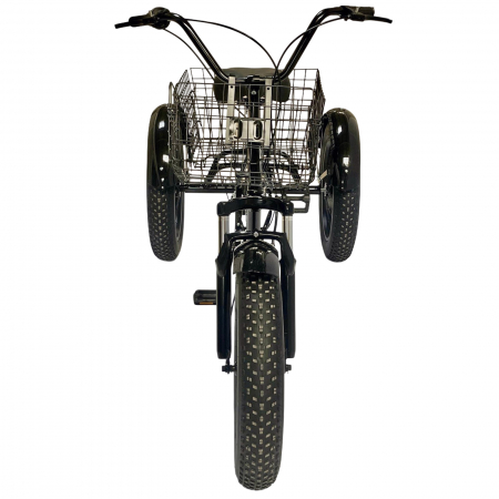 Tricicleta adulti 20" BR Cycles Pro2008-TR20, cadru otel 16", frane disc, 7 viteze [2]