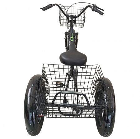 Tricicleta adulti 20" BR Cycles Pro2008-TR20, cadru otel 16", frane disc, 7 viteze [17]