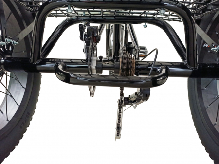 Tricicleta adulti 20" BR Cycles Pro2008-TR20, cadru otel 16", frane disc, 7 viteze [10]