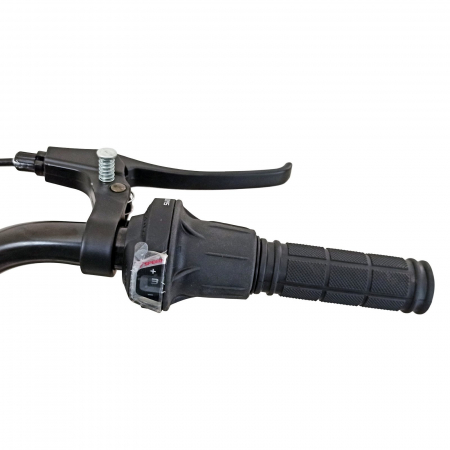 Tricicleta adulti 20" BR Cycles Pro2008-TR20, cadru otel 16", frane disc, 7 viteze [7]