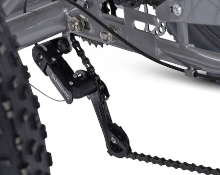 Tricicleta adulti 20" CARPAT Genius, cadru otel 16", frane disc, 7 viteze [4]