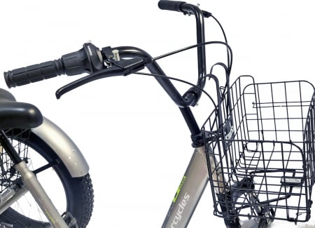 Tricicleta adulti 24" BR CYCLES Pro2008-FB, cadru otel 16", manete revoshift, frane disc, 7 viteze [7]