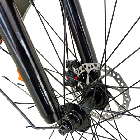 Tricicleta adulti 24" BR CYCLES Pro2008-FB, cadru otel 16", manete revoshift, frane disc, 7 viteze [5]