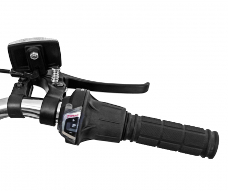 Tricicleta adulti 24" BR CYCLES Pro2008-VB, cadru otel 16", frane V-Brake/tambur, 7 viteze [8]