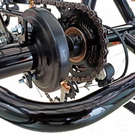 Tricicleta adulti 24" BR CYCLES Pro2008-VB, cadru otel 16", frane V-Brake/tambur, 7 viteze [13]