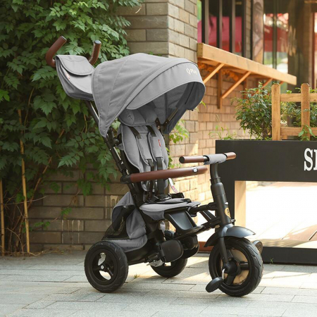 Tricicleta pliabila QPLAY Rito Deluxe [10]