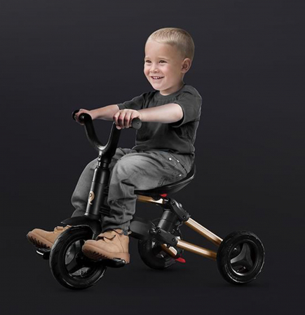 Tricicleta ultrapliabila QPLAY Nova Gold Air LE [6]