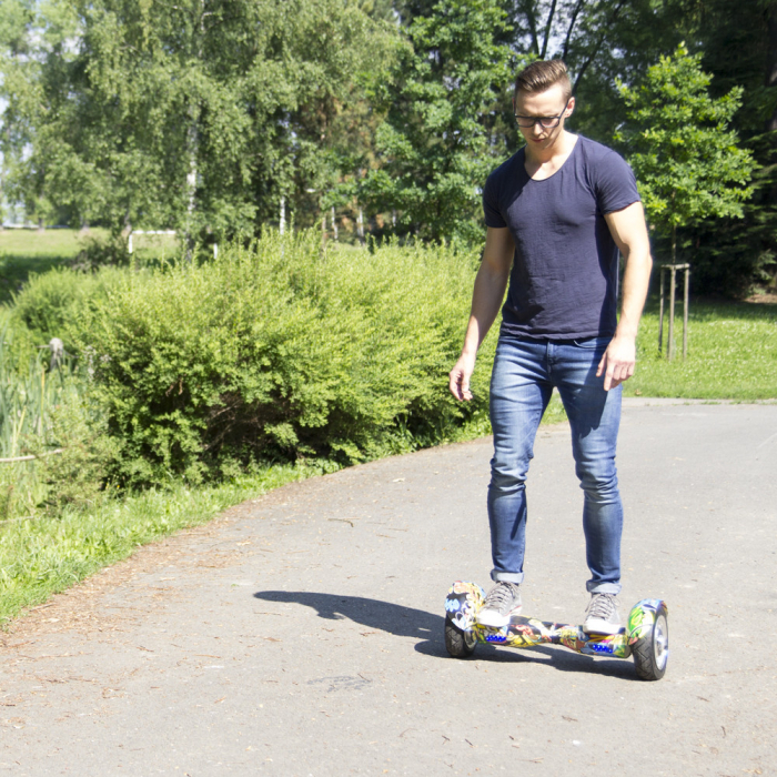 Electroboard Windrunner Fun A1 Art [3]