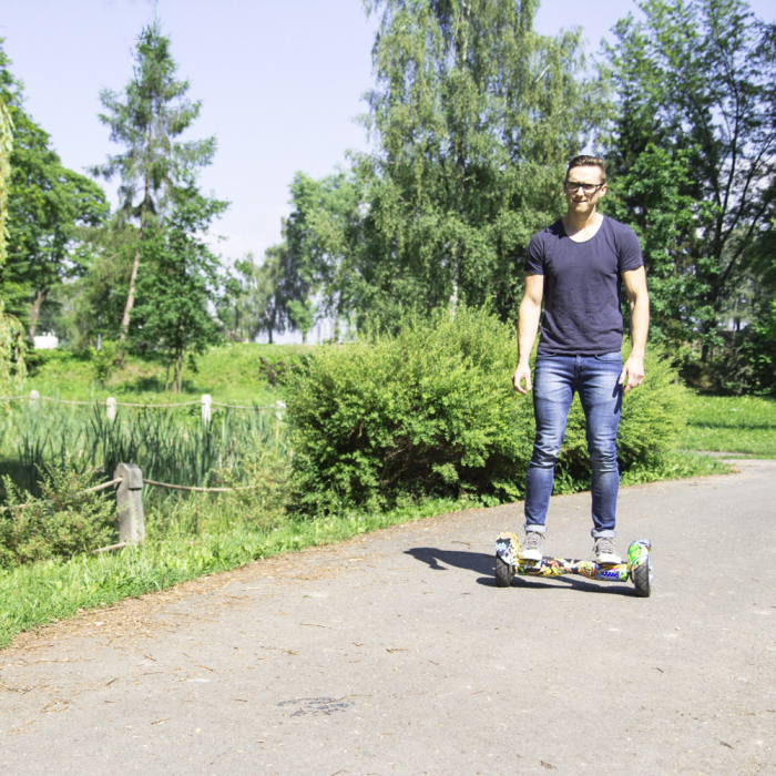 Electroboard Windrunner Fun A1 Art [4]