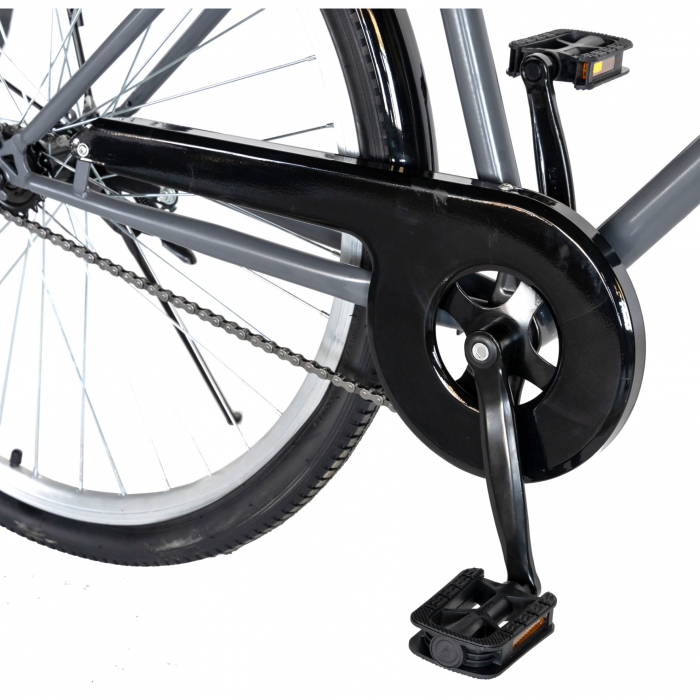 Bicicleta CITY 28" Rich Bike Exquisite R2891A, culoare gri/alb [5]