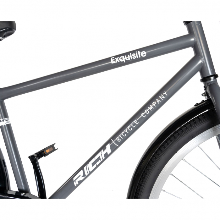 Bicicleta CITY 28" Rich Bike Exquisite R2891A, culoare gri/alb [7]