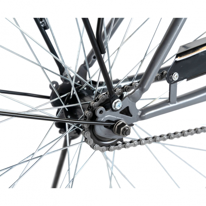 Bicicleta CITY 28" Rich Bike Exquisite R2891A, culoare gri/alb [6]