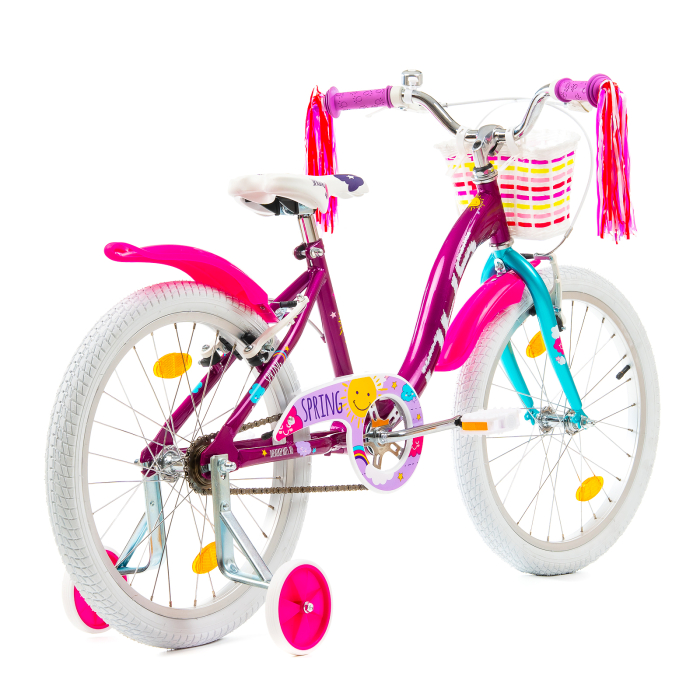Bicicleta Copii DHS Spring - 20 Inch, Mov [3]