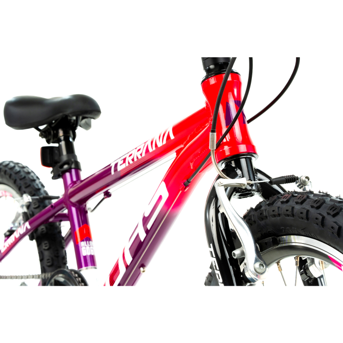 Bicicleta Copii Dhs Terrana 2023 - 20 Inch, Violet/Roz [5]