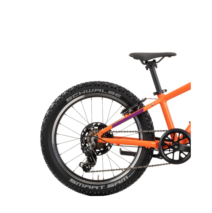 Bicicleta Copii Raymon Yanga 20 2025 - 20 Inch, Portocaliu - TY200 [4]