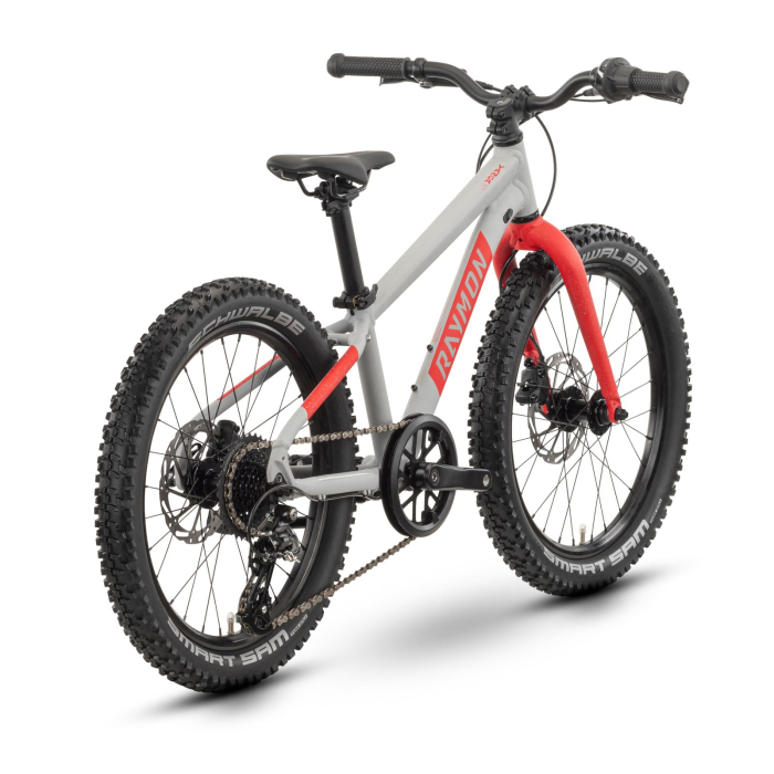 Bicicleta Copii Raymon Yanga 20 Pro 2025 - 20 Inch, Gri - Altus [3]