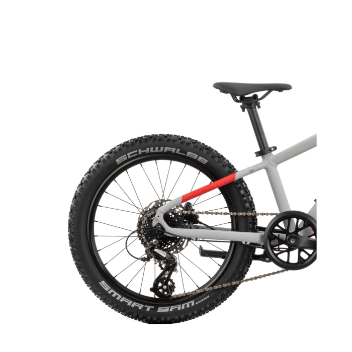 Bicicleta Copii Raymon Yanga 20 Pro 2025 - 20 Inch, Gri - Altus [4]
