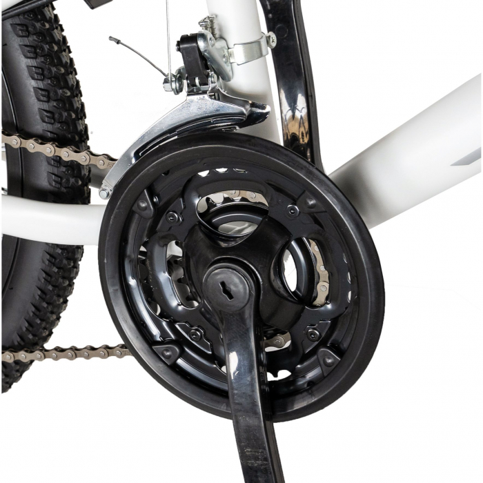 Bicicleta copii Rich Baby, 7-10 Ani, 18 Viteze, Roti 20 Inch, Frane V-Brake, LANQ CSA20/30L, Cadru Alb cu Design Negru [8]