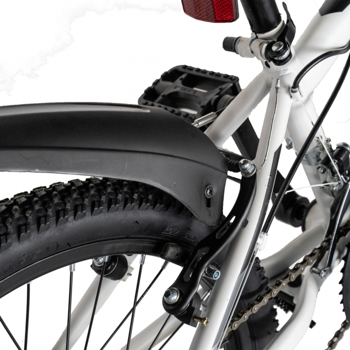 Bicicleta copii Rich Baby, 7-10 Ani, 18 Viteze, Roti 20 Inch, Frane V-Brake, LANQ CSA20/30L, Cadru Alb cu Design Negru [2]