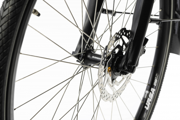 Bicicleta Electrica Corwin 28427DN7 Freewheel - 28 Inch, L, Gri [4]