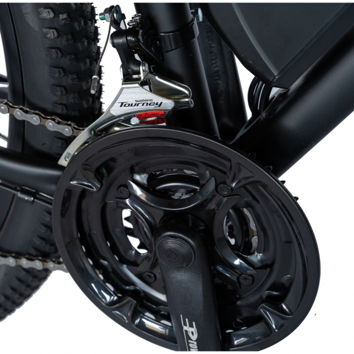 Bicicleta electrica MTB (E-BIKE) Carpat 29" C1012E, cadru aluminiu, frane mecanice disc, transmisie SHIMANO 21 viteze, culoare gri/alb [4]