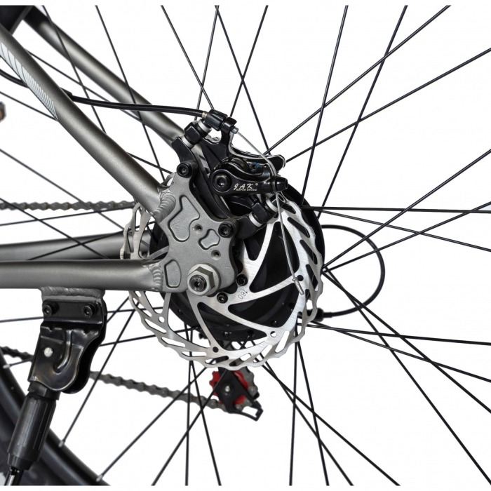 Bicicleta electrica MTB (E-BIKE) Carpat 29" C1012E, cadru aluminiu, frane mecanice disc, transmisie SHIMANO 21 viteze, culoare gri/alb [8]