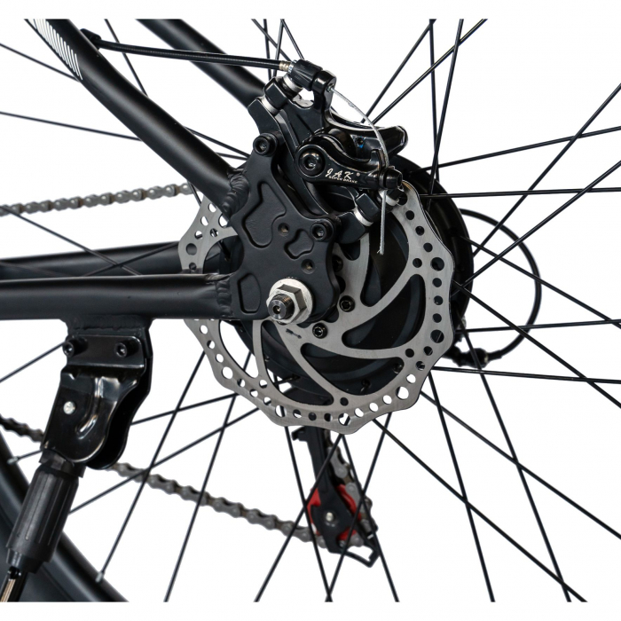 Bicicleta electrica MTB (E-BIKE) Carpat 29" C1012E, cadru aluminiu, frane mecanice disc, transmisie SHIMANO 21 viteze, culoare negru/alb [6]