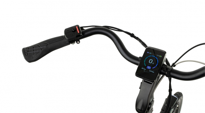 Bicicleta Electrica Stella Livorno Dama FDST RTE 2.1 - 28 Inch, L, Verde [4]