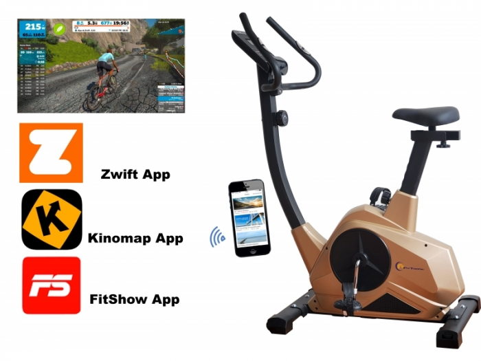 Bicicleta fitness magnetica FitTronic 601B Gold [3]