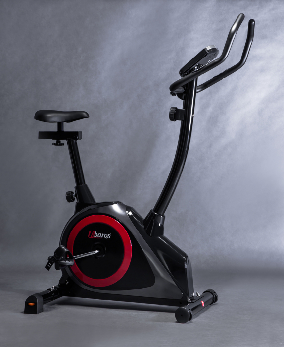 Bicicleta fitness magnetica Sportmann Abarqs RW-33 [23]