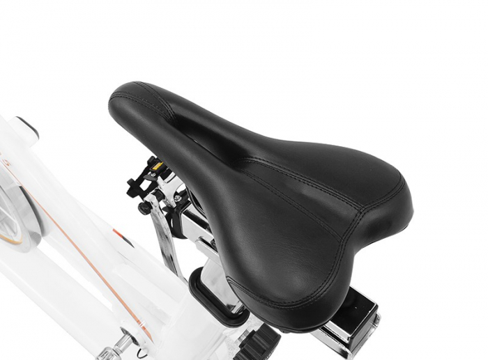 Bicicleta indoor cycling Scud 505 [15]