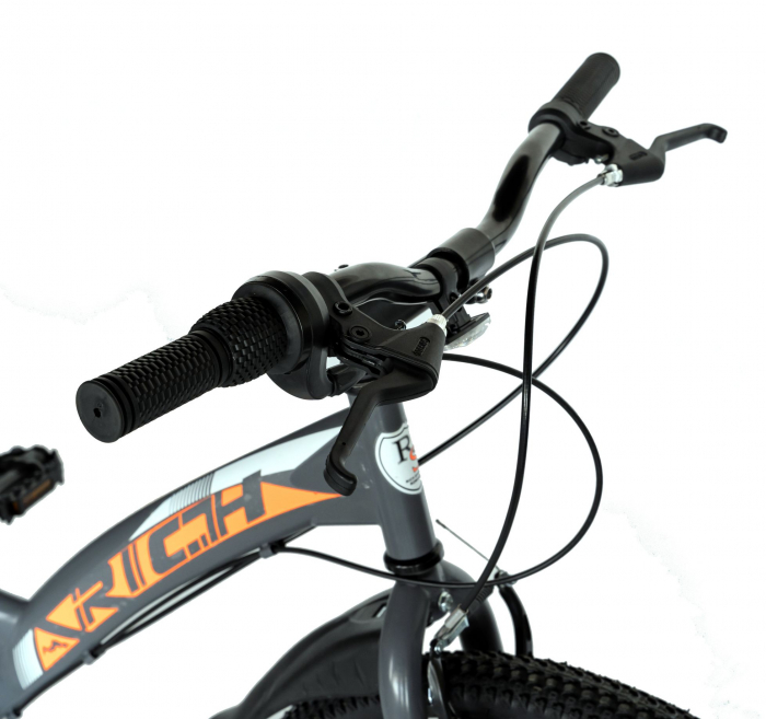 Bicicleta TREKKING 24" RICH R2430A, 6 viteze, culoare gri/portocaliu [13]