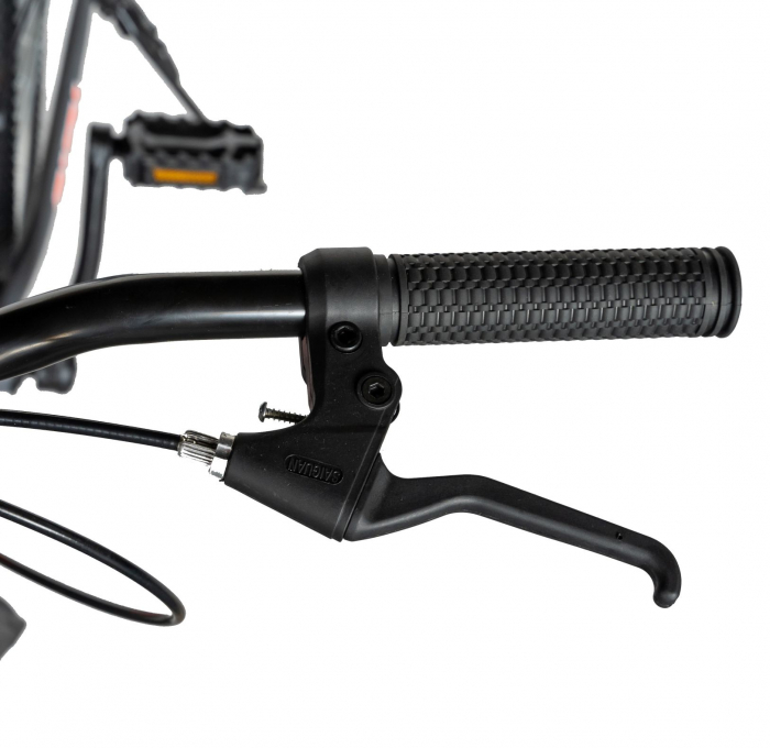 Bicicleta TREKKING 24" RICH R2430A, 6 viteze, culoare gri/portocaliu [14]