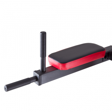 Aparat multifunctional Power Tower PT80 [3]