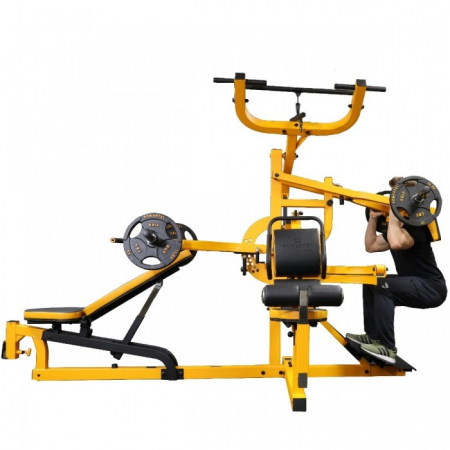 Aparat multifunctional WB-MS Powertec galben [2]