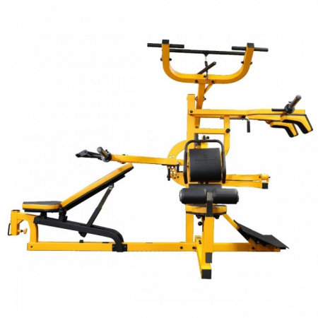 Aparat multifunctional WB-MS Powertec galben [0]