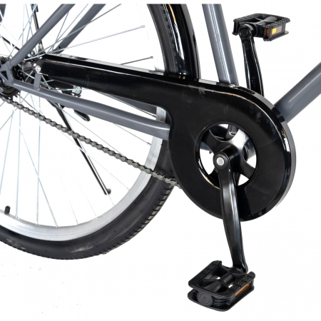 Bicicleta CITY 28" Rich Bike Exquisite R2891A, culoare gri/alb [4]