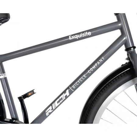 Bicicleta CITY 28" Rich Bike Exquisite R2891A, culoare gri/alb [6]