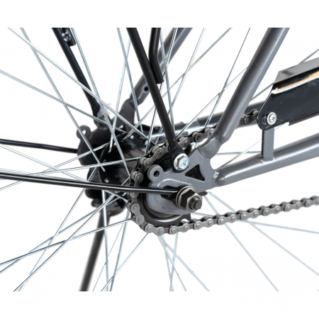 Bicicleta CITY 28" Rich Bike Exquisite R2891A, culoare gri/alb [5]